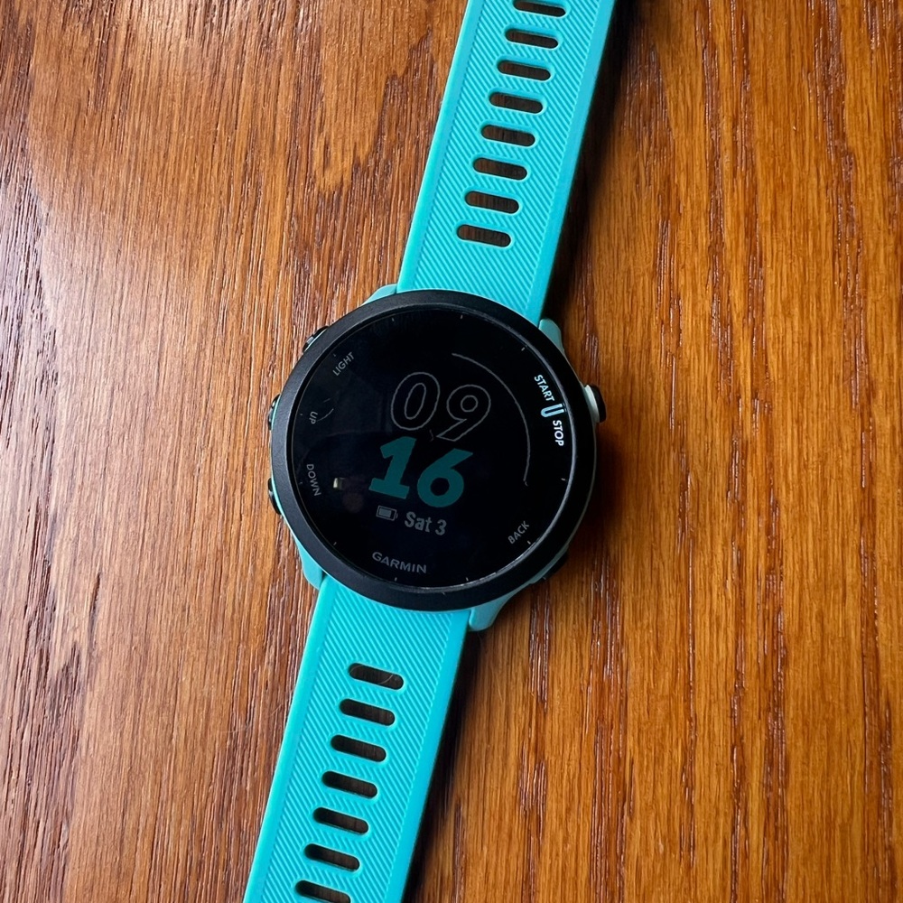 Garmin Forerunner 55 Smartwatch with Teal Strap - missing charger